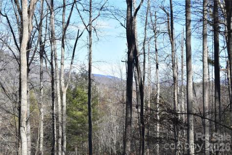 448 Sweetwater Road Green Mountain NC 28740