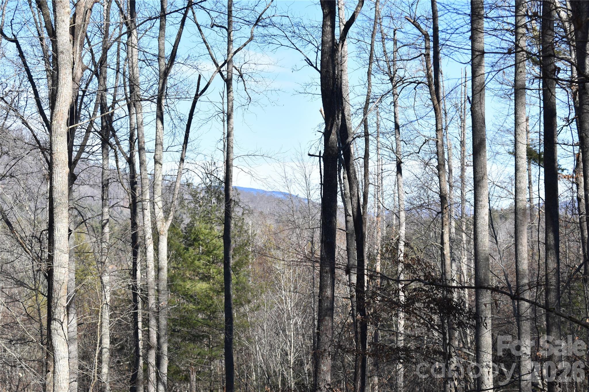 448 Sweetwater Road Green Mountain NC 28740