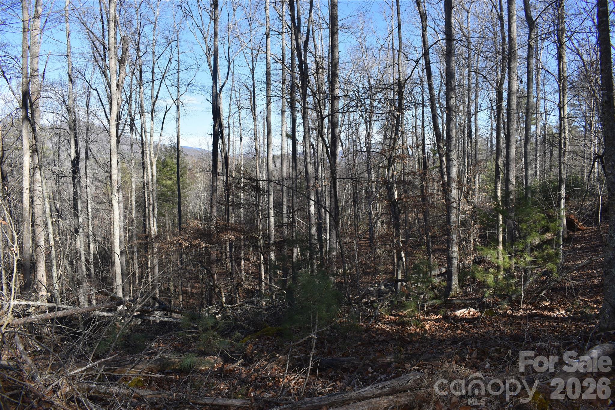 448 Sweetwater Road Green Mountain NC 28740