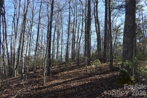 448 Sweetwater Road Green Mountain NC 28740