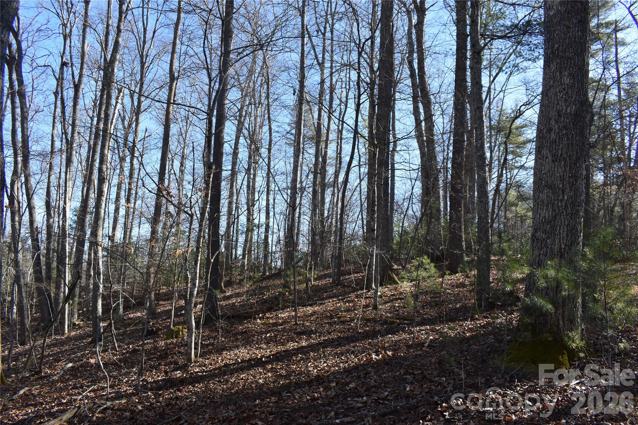 448 Sweetwater Road Green Mountain NC 28740