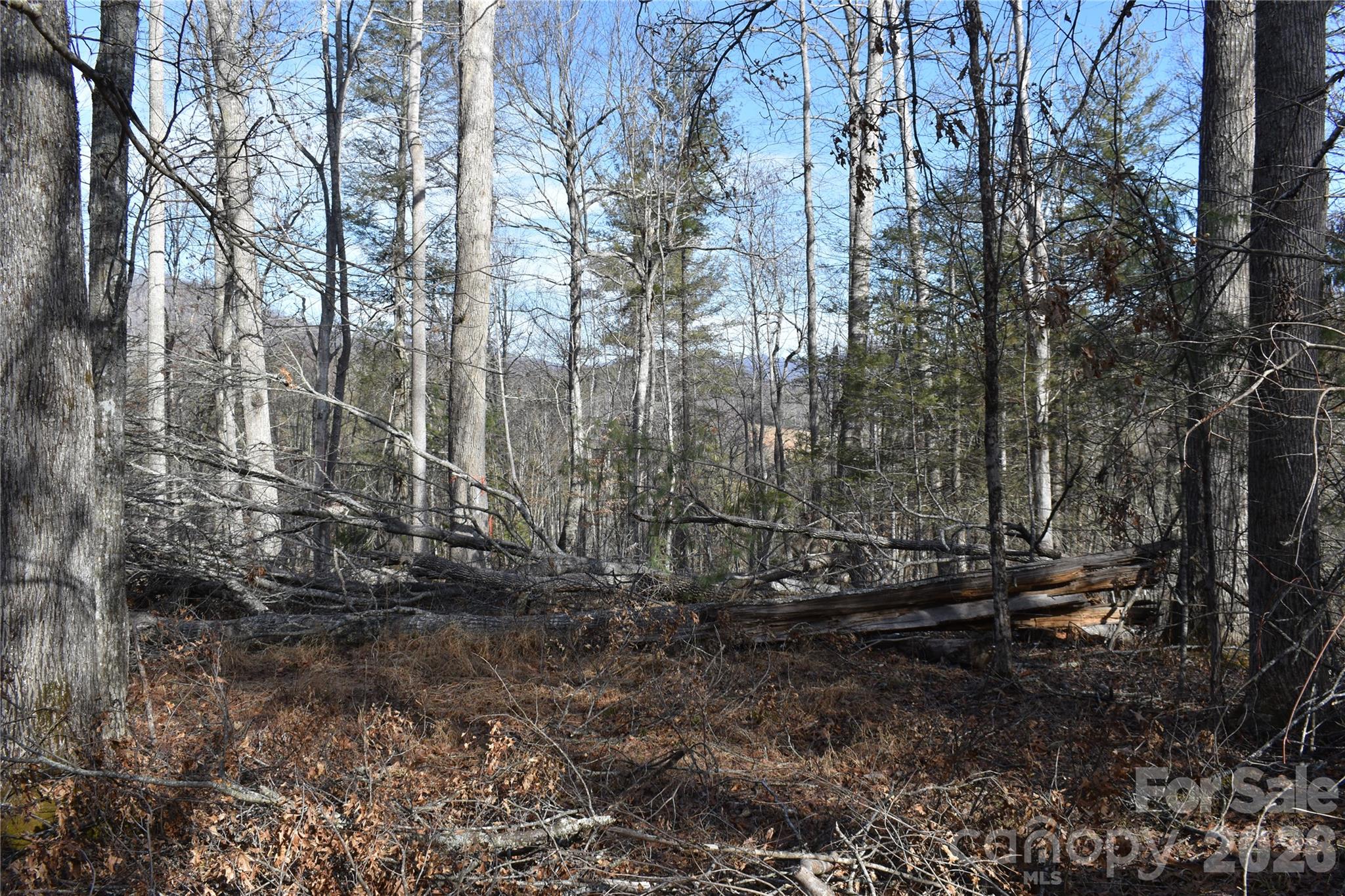 448 Sweetwater Road Green Mountain NC 28740