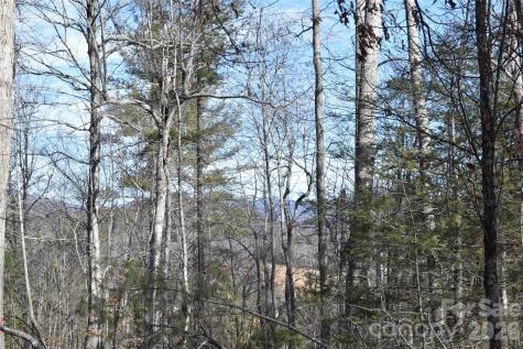 448 Sweetwater Road Green Mountain NC 28740