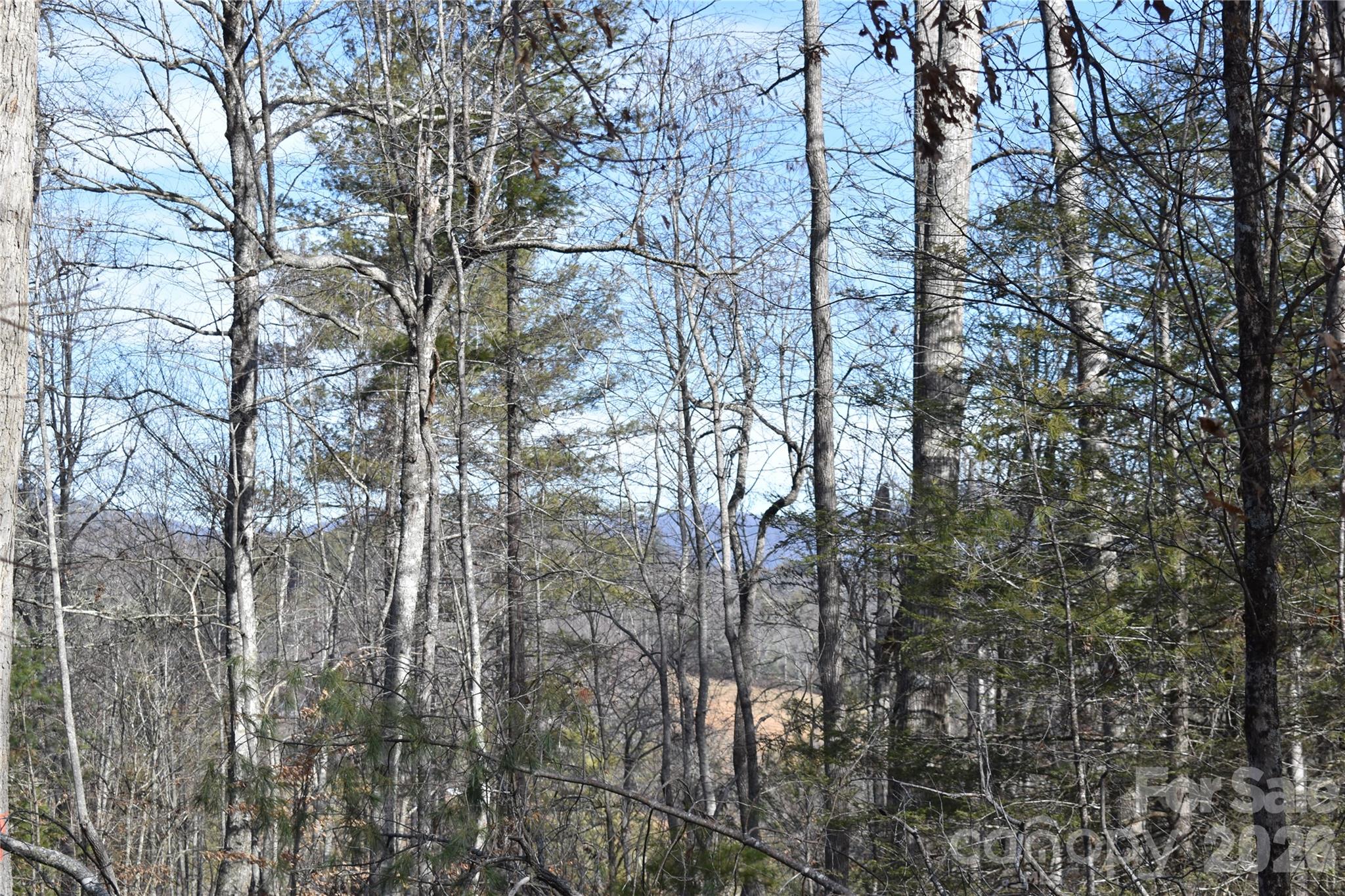 448 Sweetwater Road Green Mountain NC 28740