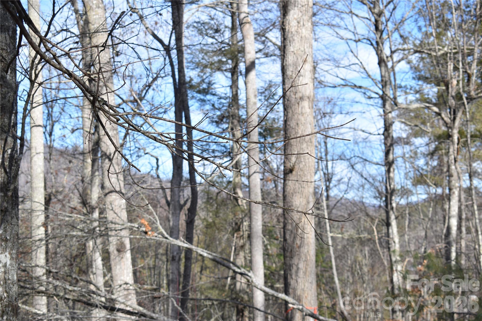 448 Sweetwater Road Green Mountain NC 28740