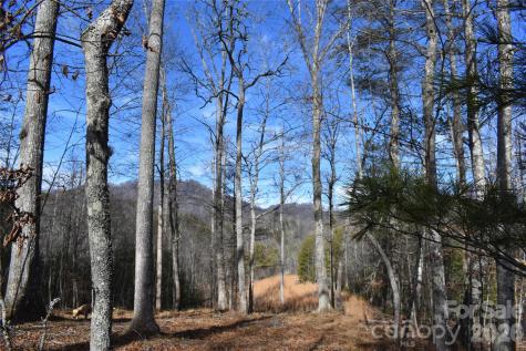 448 Sweetwater Road Green Mountain NC 28740