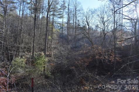 448 Sweetwater Road Green Mountain NC 28740
