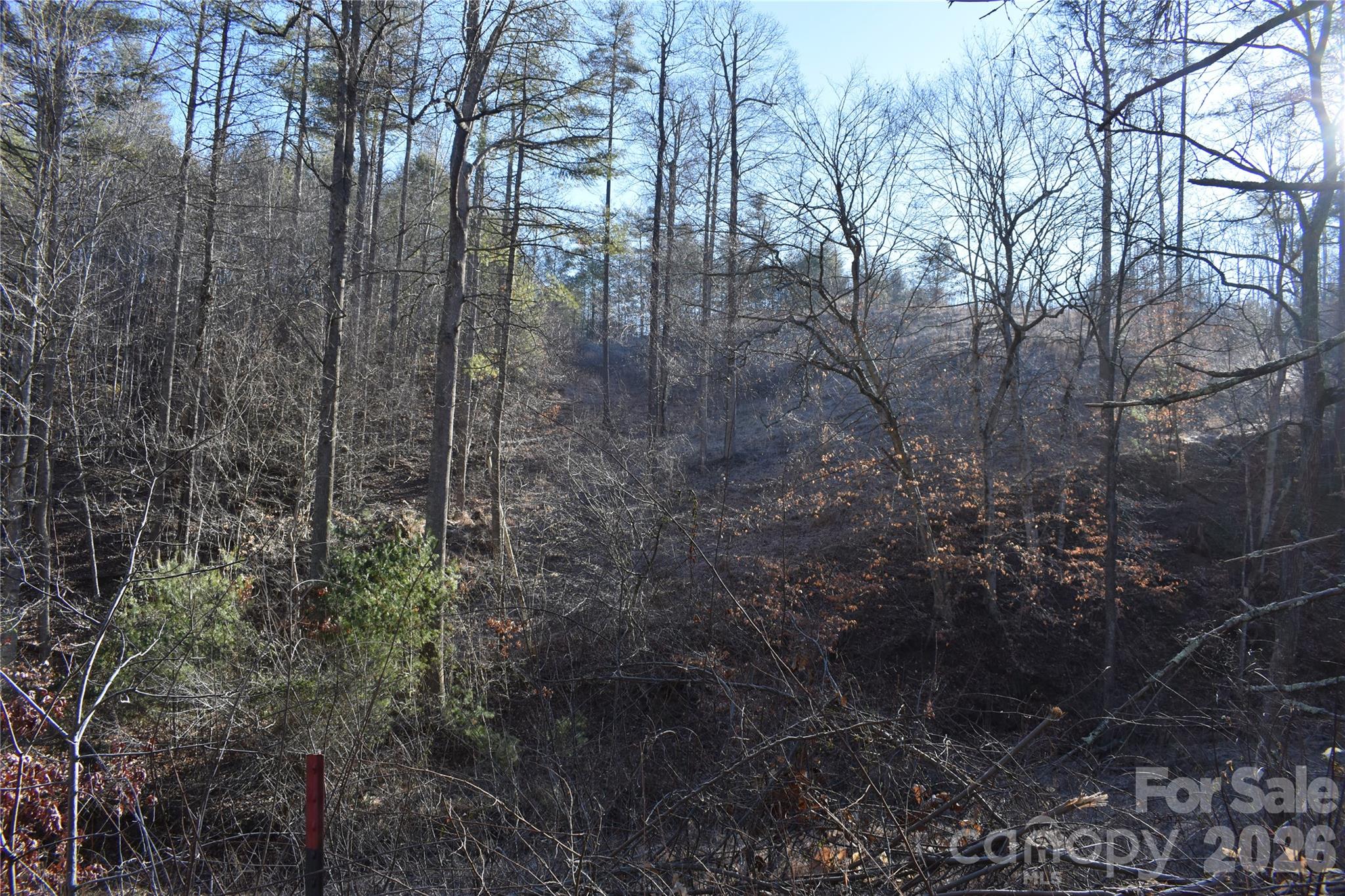 448 Sweetwater Road Green Mountain NC 28740