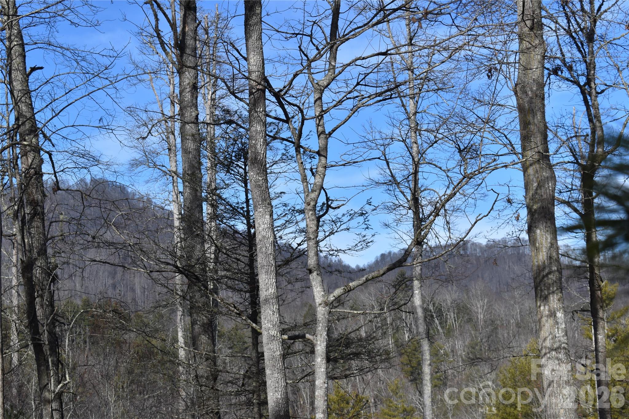 448 Sweetwater Road Green Mountain NC 28740
