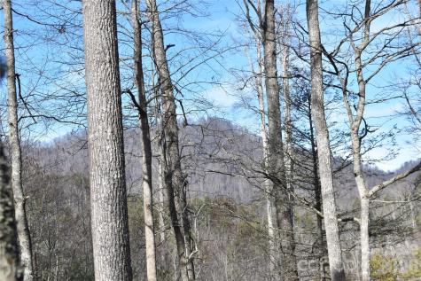 448 Sweetwater Road Green Mountain NC 28740