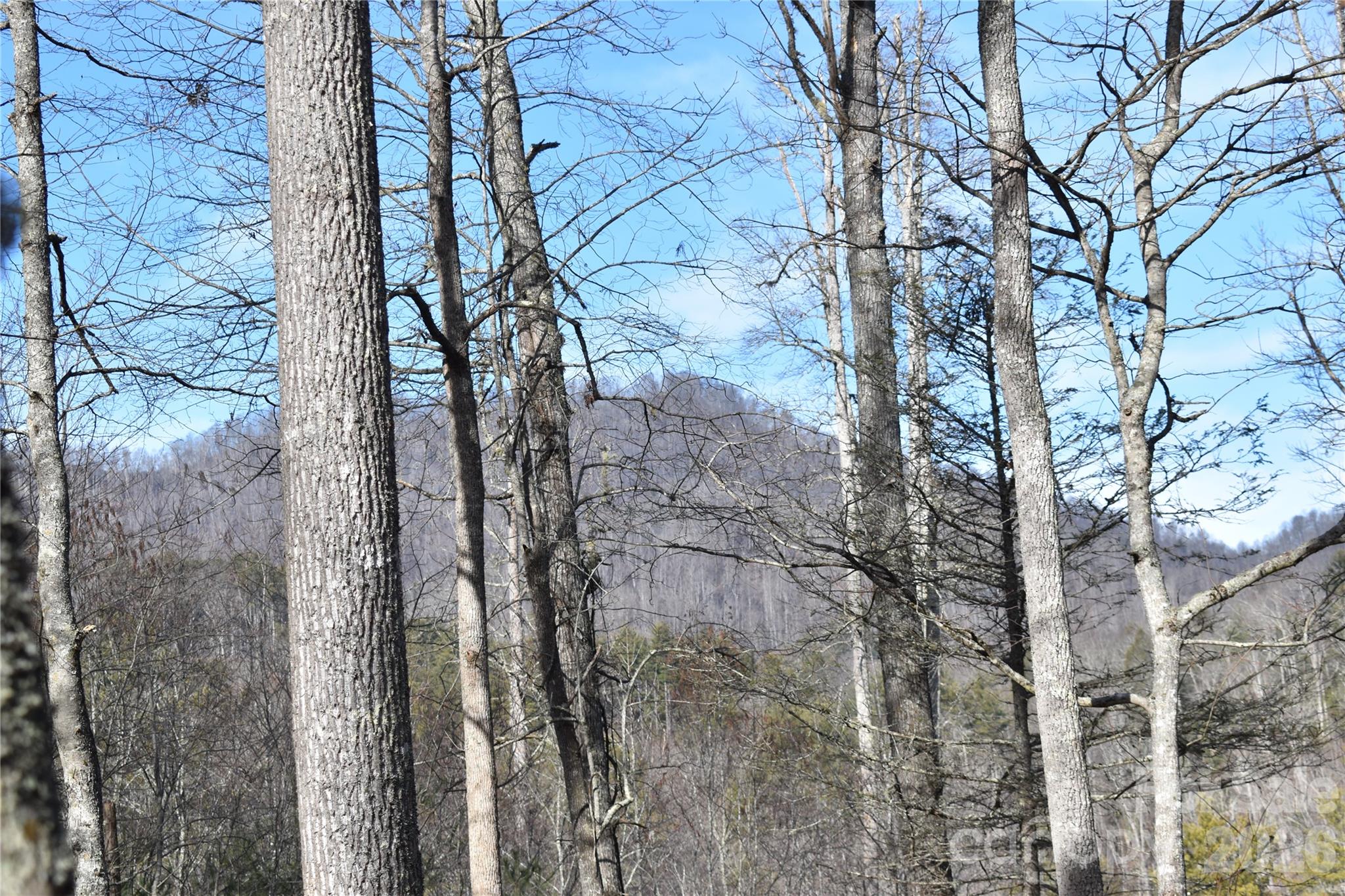 448 Sweetwater Road Green Mountain NC 28740
