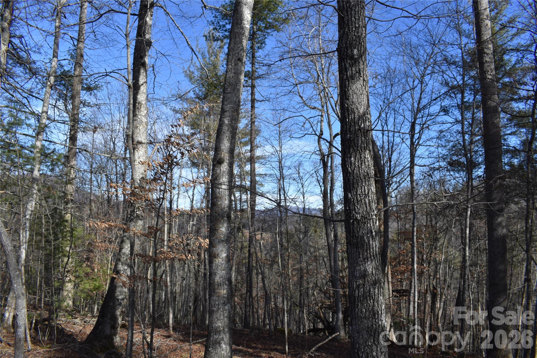 448 Sweetwater Road Green Mountain NC 28740