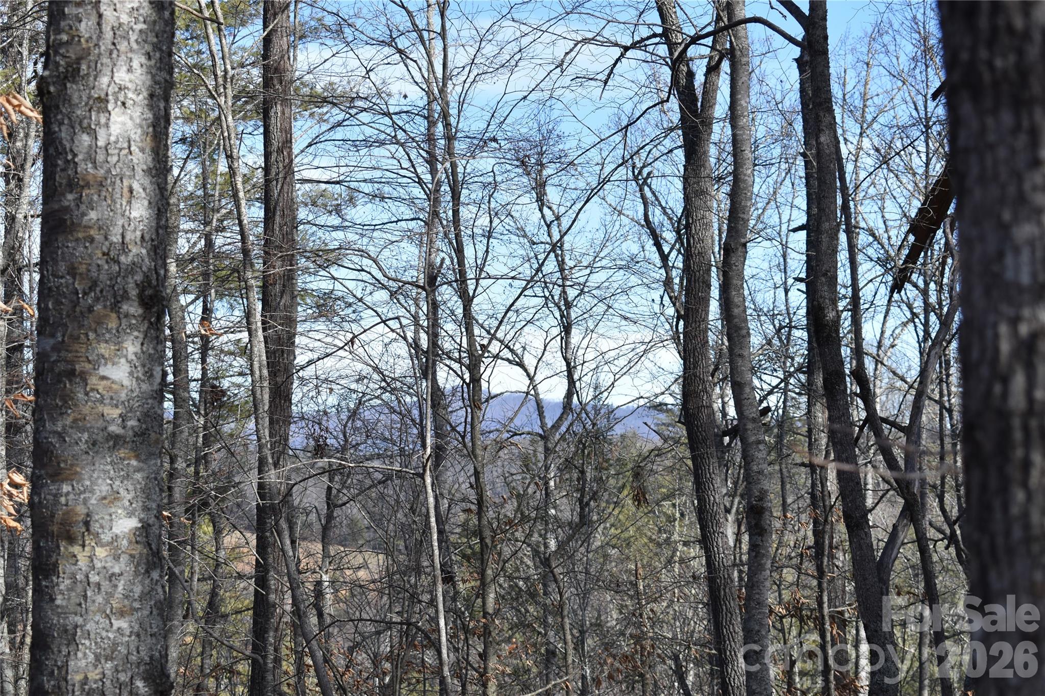 448 Sweetwater Road Green Mountain NC 28740