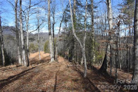 448 Sweetwater Road Green Mountain NC 28740
