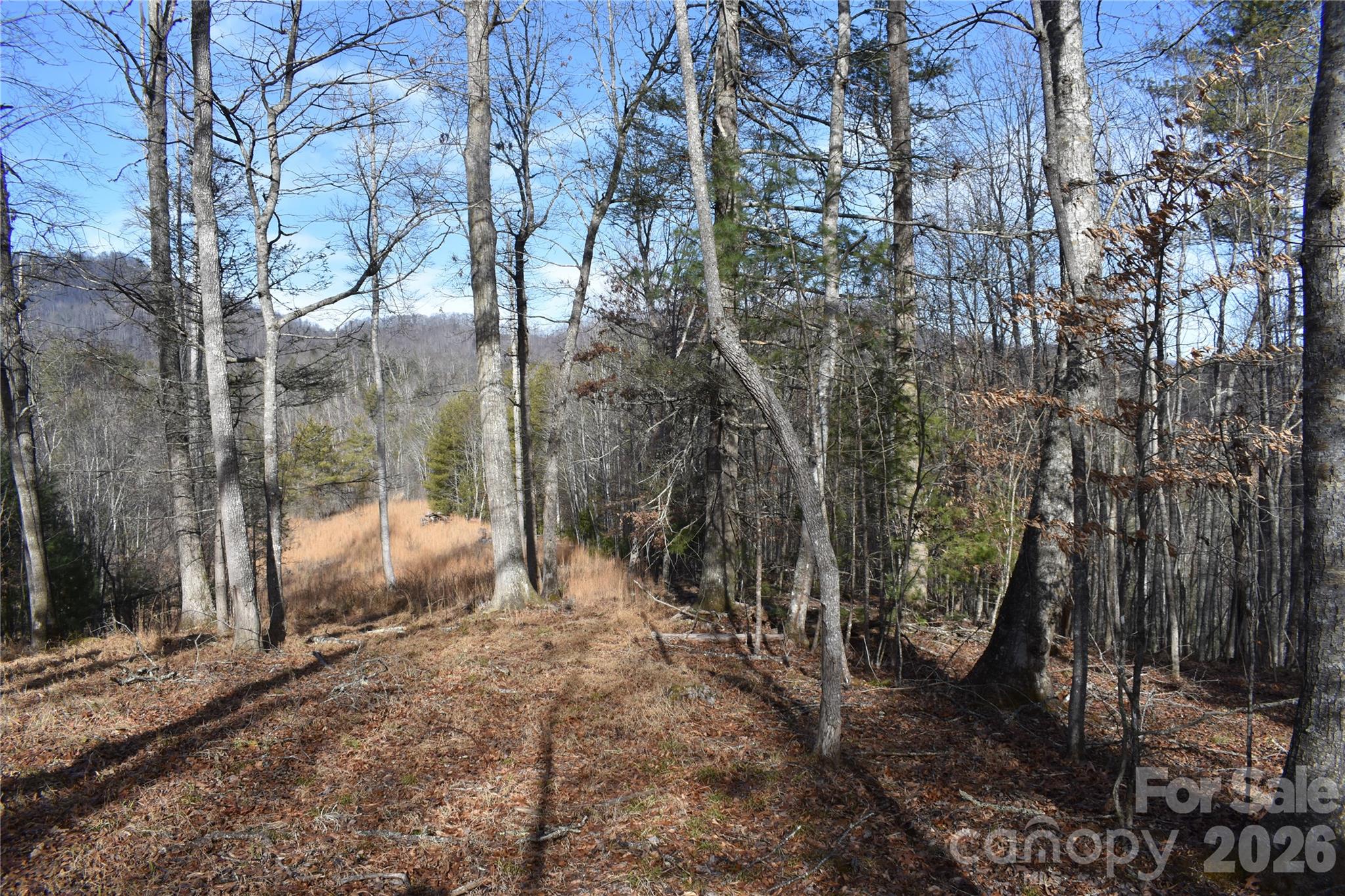 448 Sweetwater Road Green Mountain NC 28740