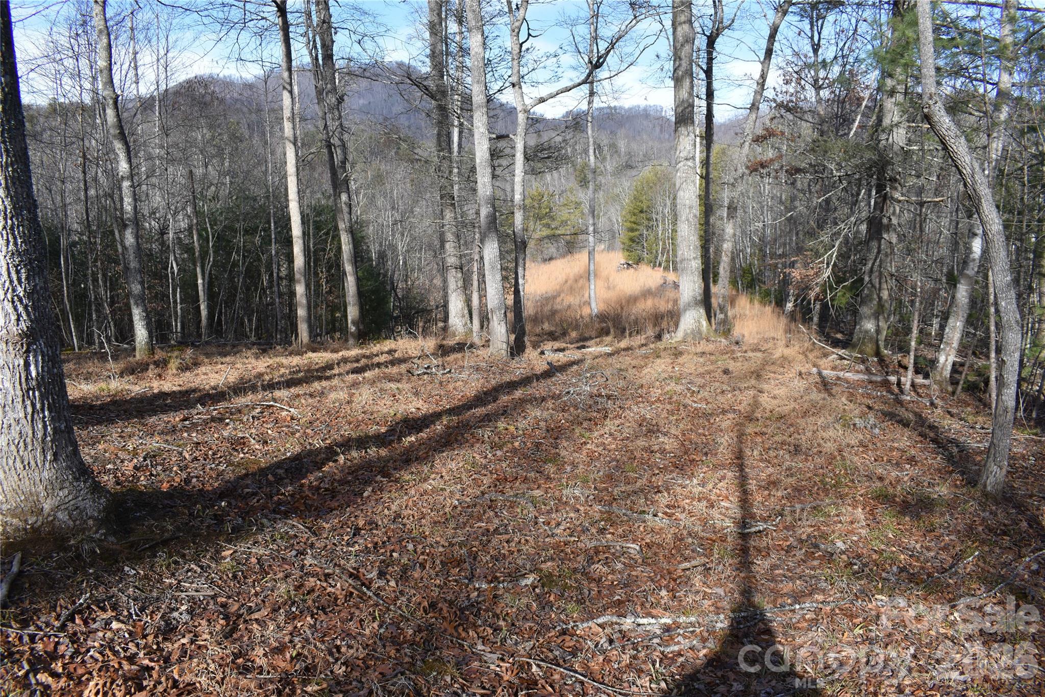 448 Sweetwater Road Green Mountain NC 28740