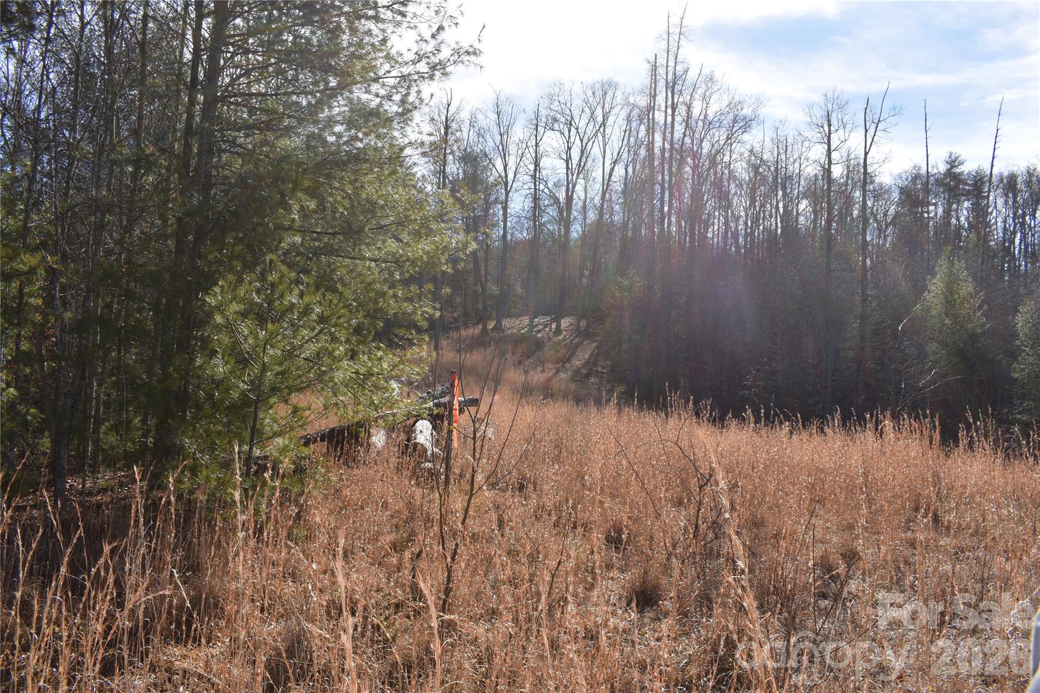 448 Sweetwater Road Green Mountain NC 28740