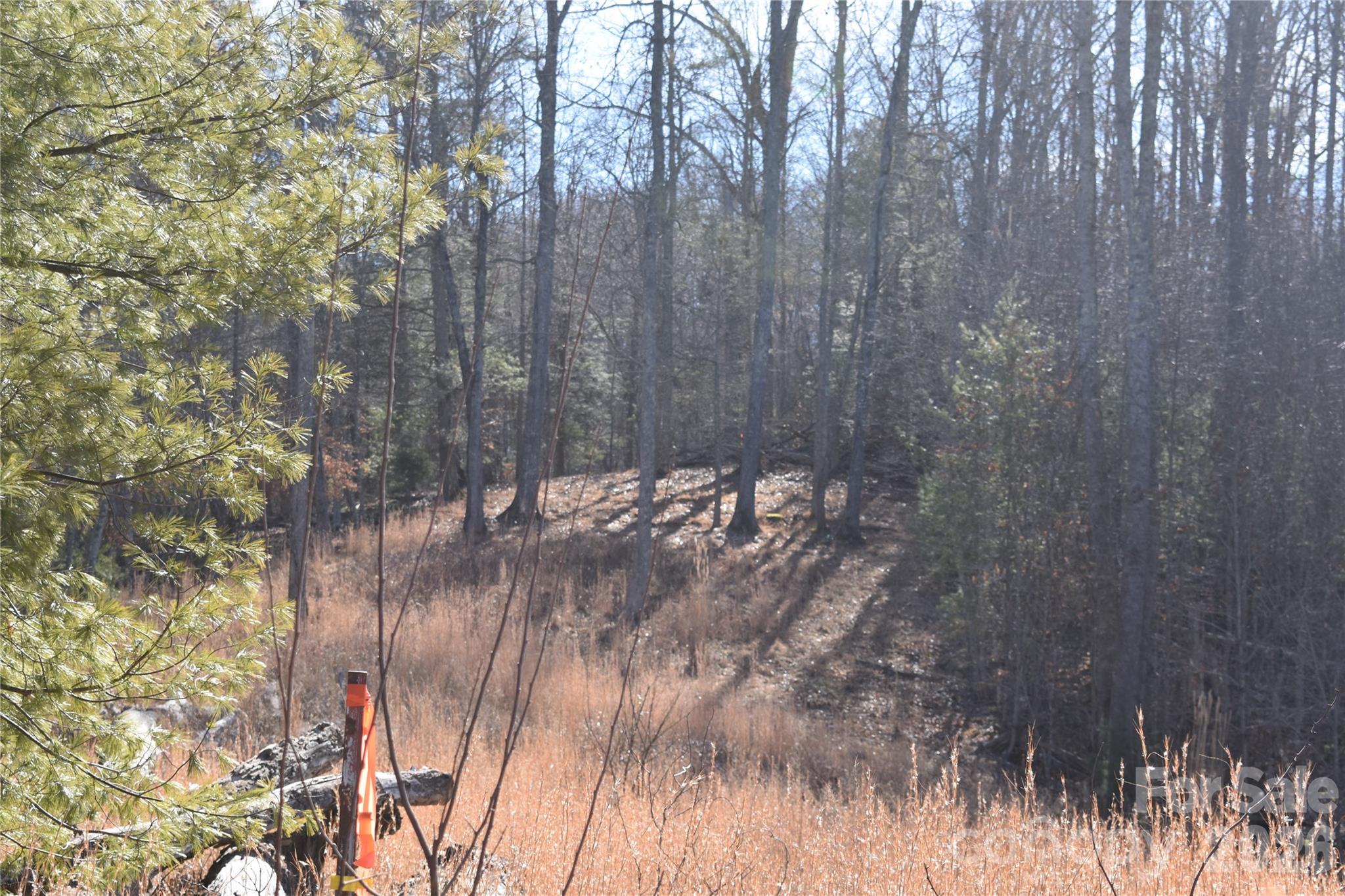 448 Sweetwater Road Green Mountain NC 28740