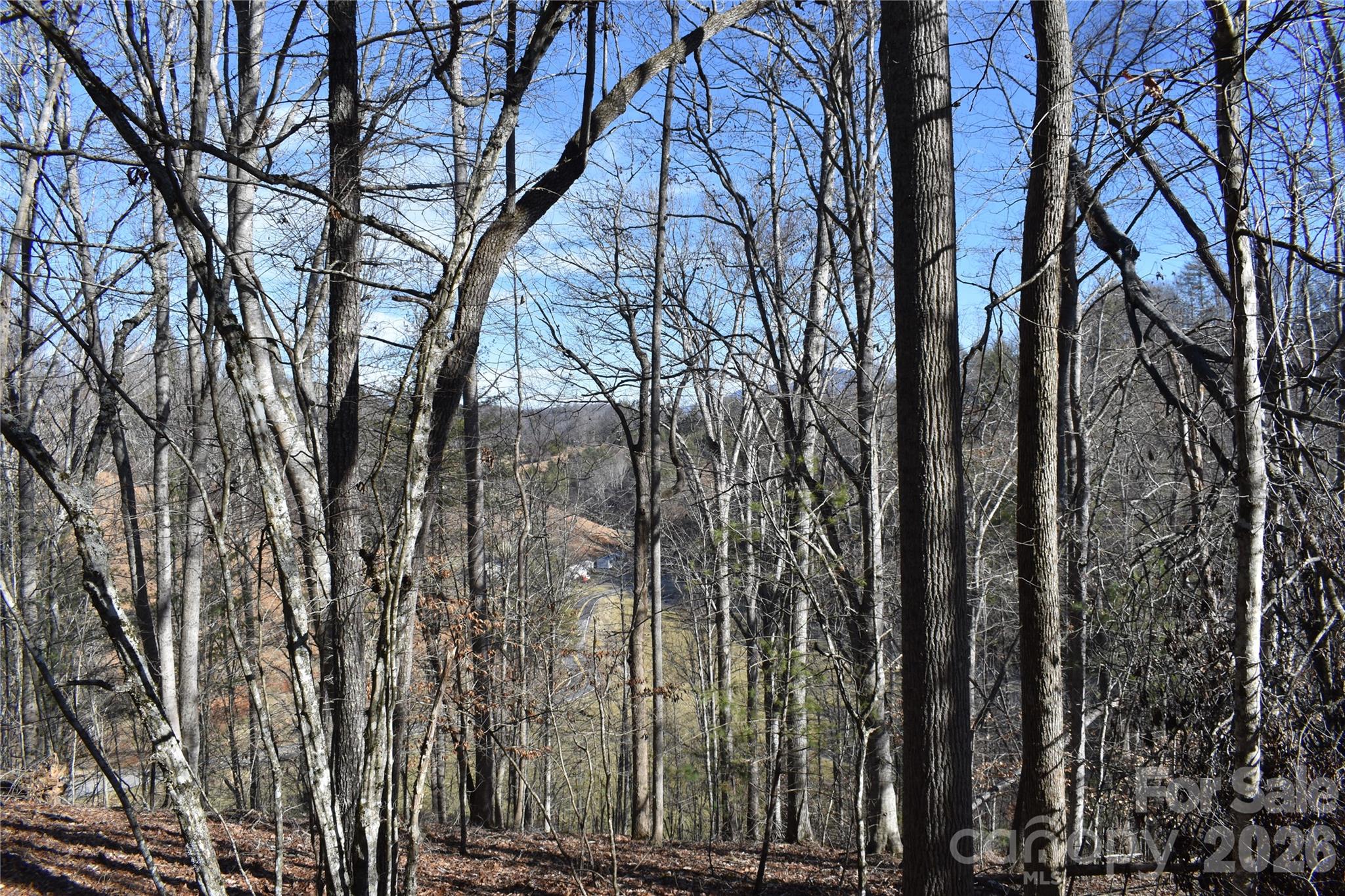 448 Sweetwater Road Green Mountain NC 28740