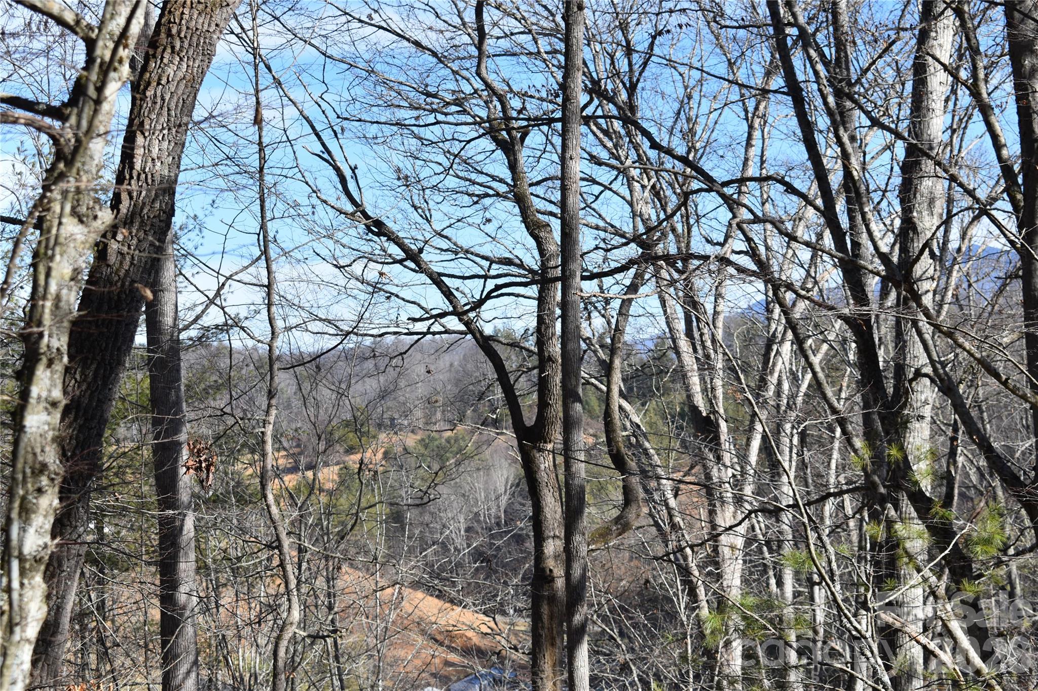 448 Sweetwater Road Green Mountain NC 28740