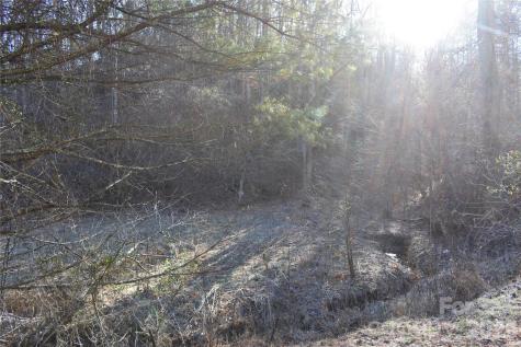 448 Sweetwater Road Green Mountain NC 28740