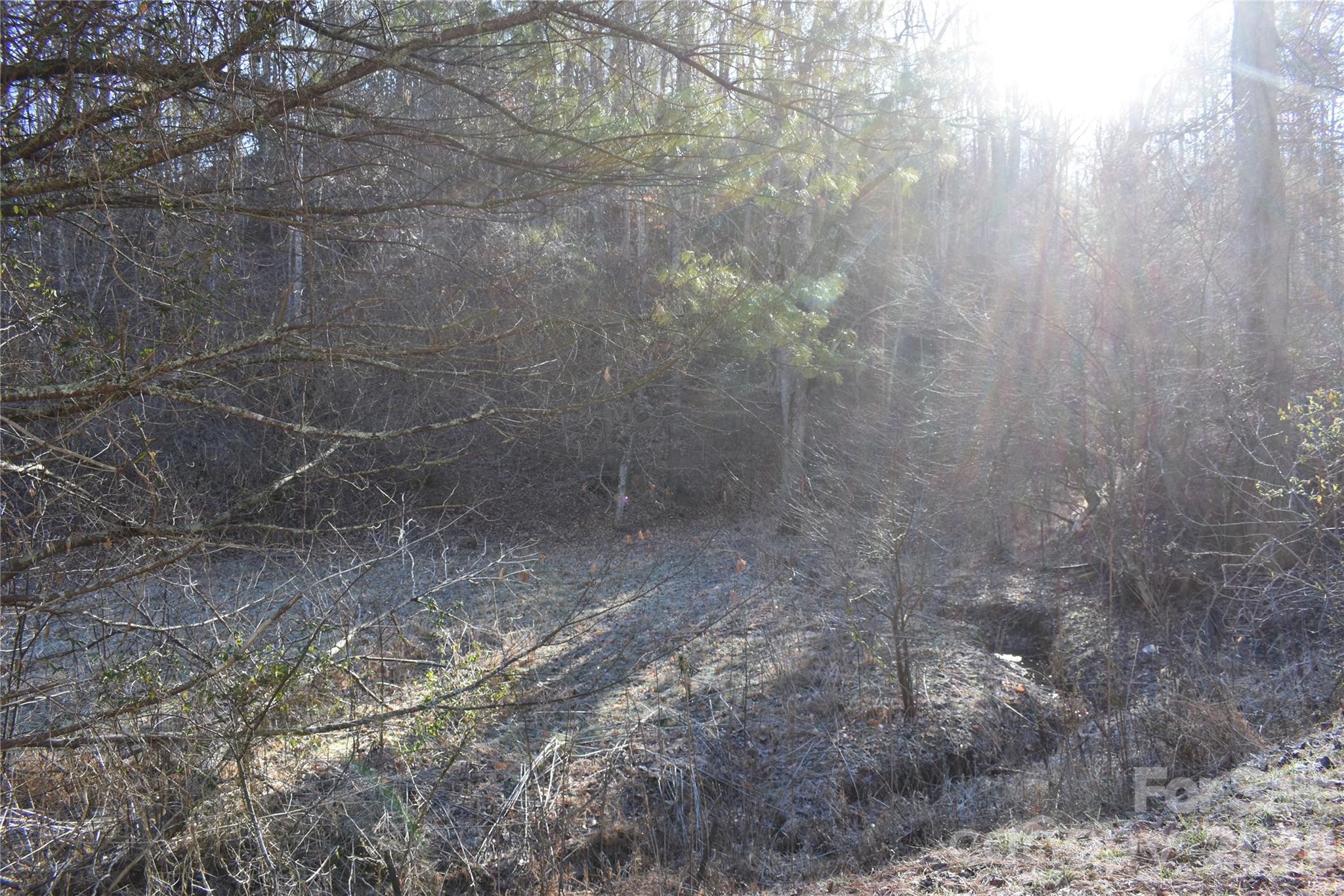 448 Sweetwater Road Green Mountain NC 28740