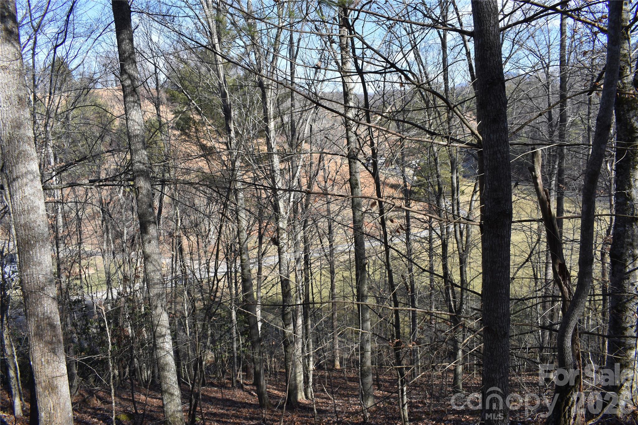 448 Sweetwater Road Green Mountain NC 28740