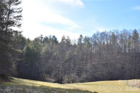 448 Sweetwater Road Green Mountain NC 28740