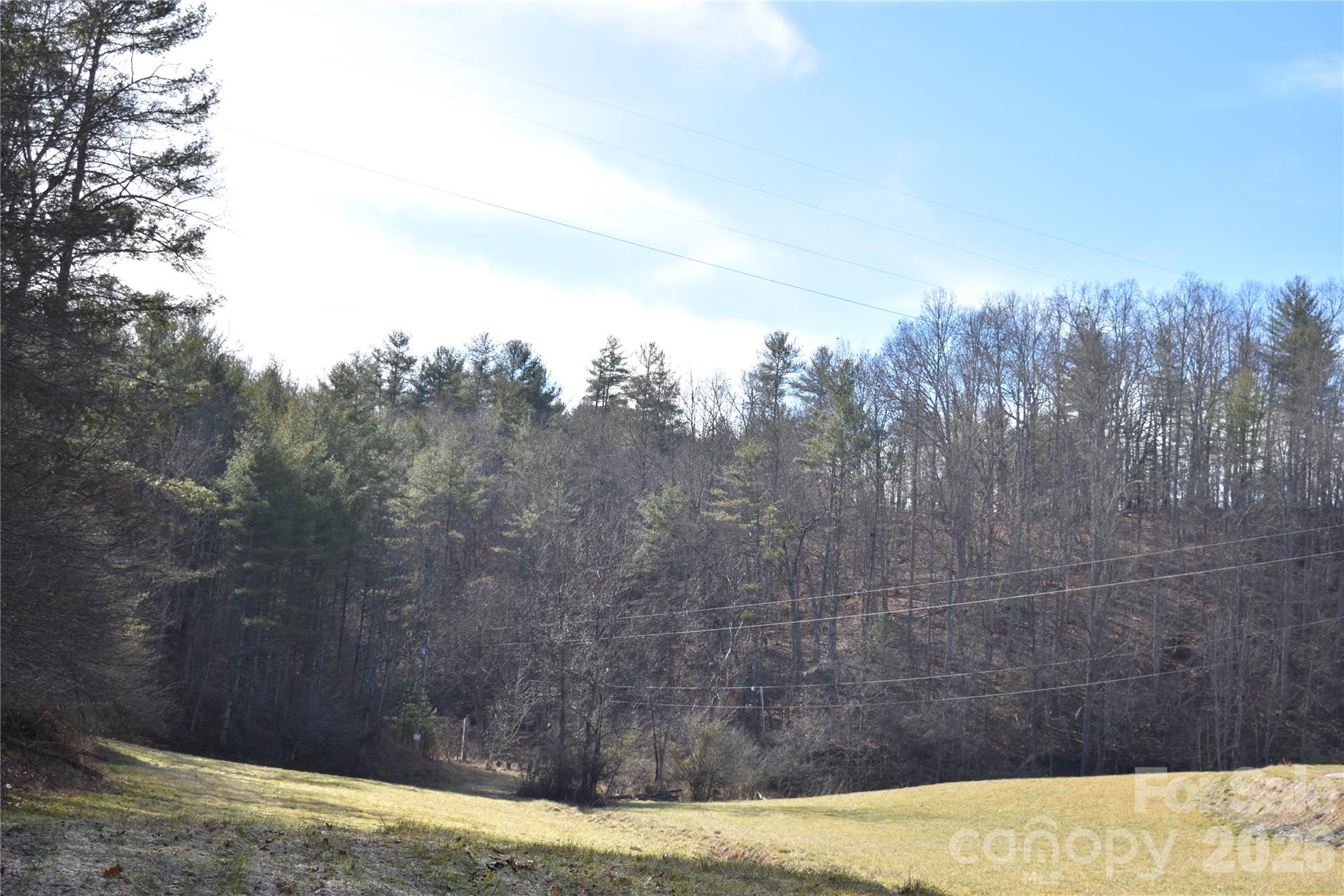 448 Sweetwater Road Green Mountain NC 28740