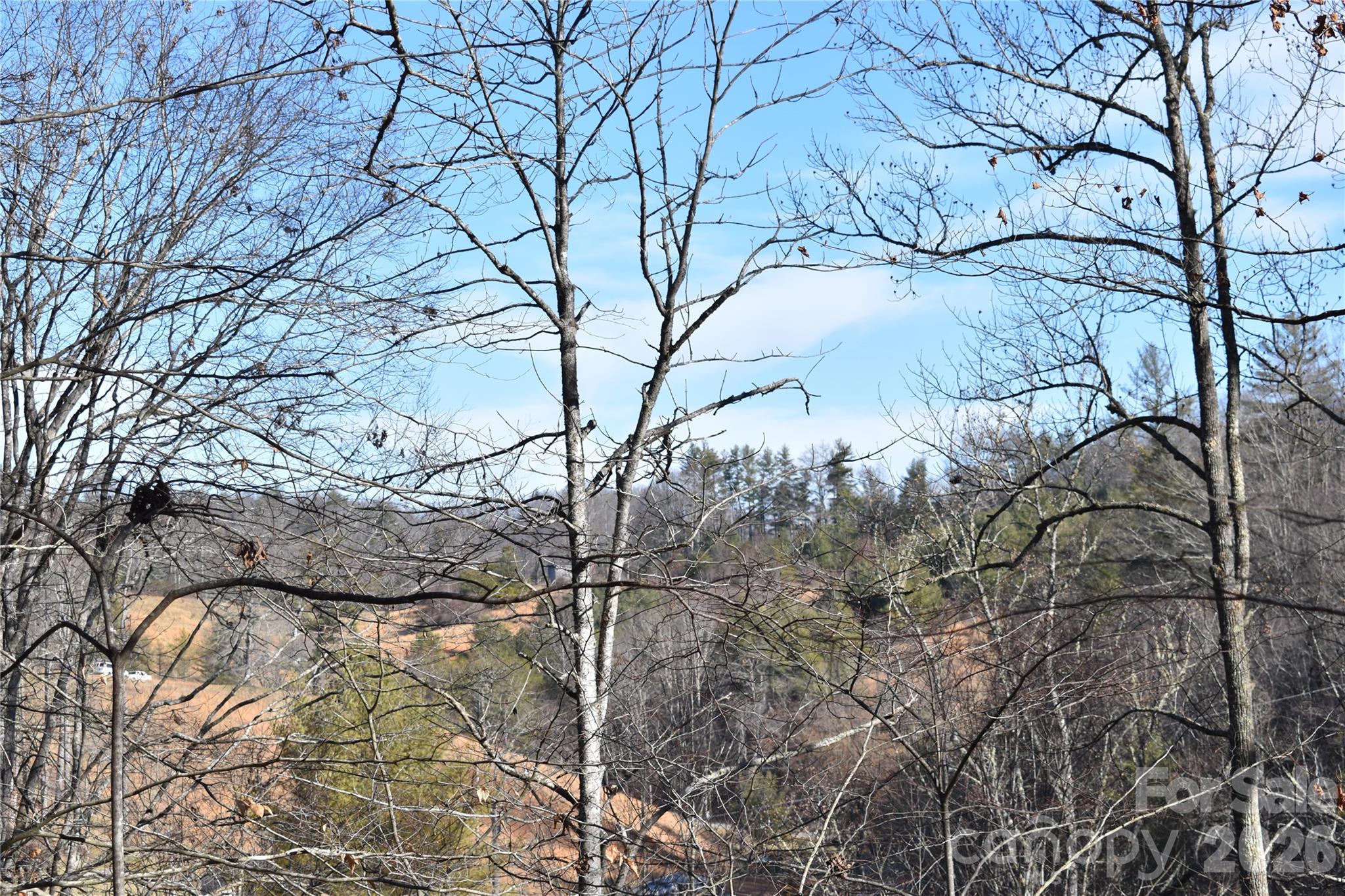 448 Sweetwater Road Green Mountain NC 28740