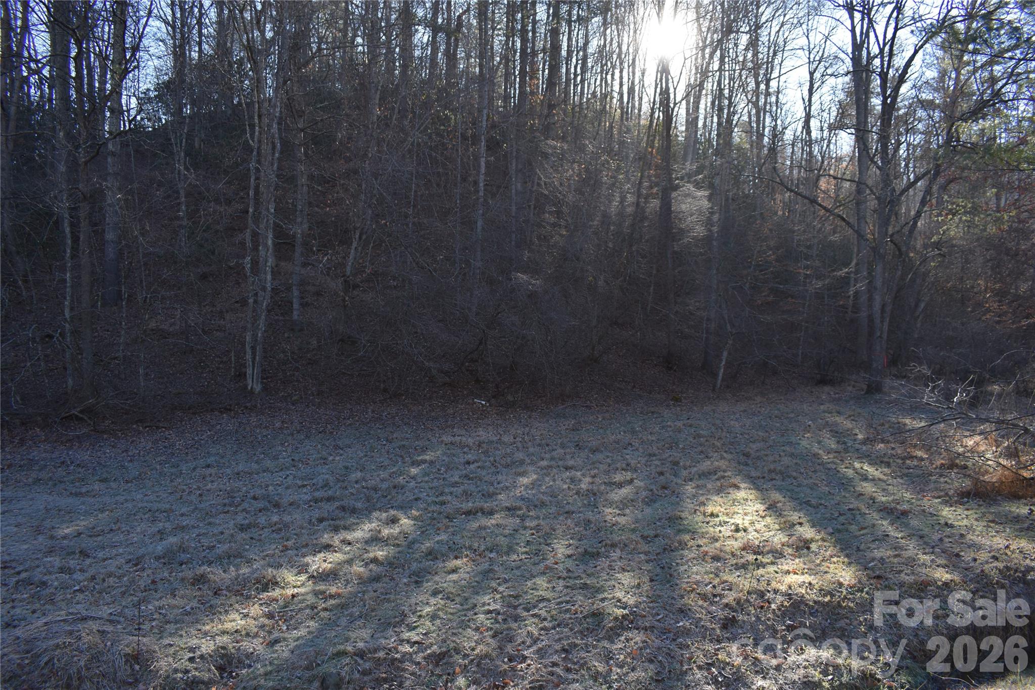 448 Sweetwater Road Green Mountain NC 28740