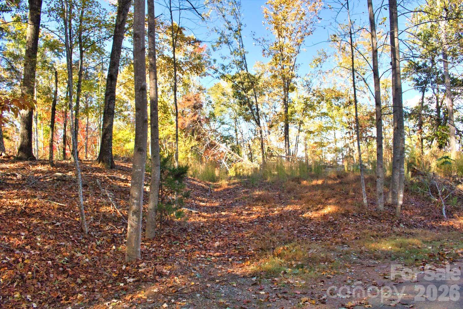 0 Wilderness Ridge Rutherfordton NC 28139