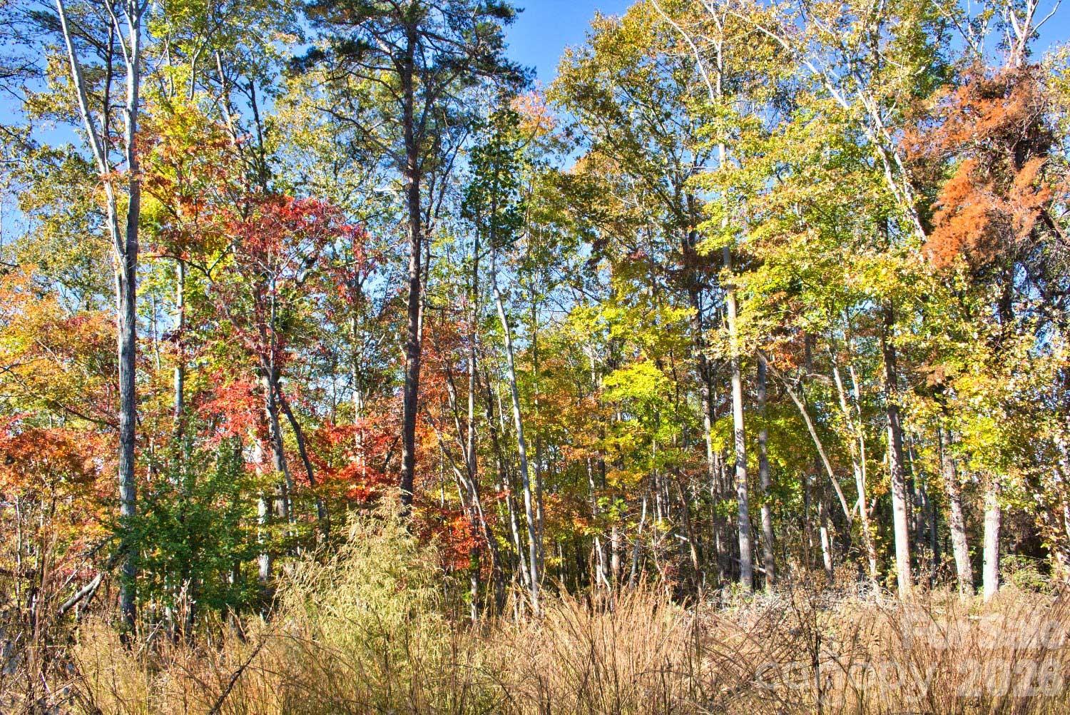 0 Wilderness Ridge Rutherfordton NC 28139