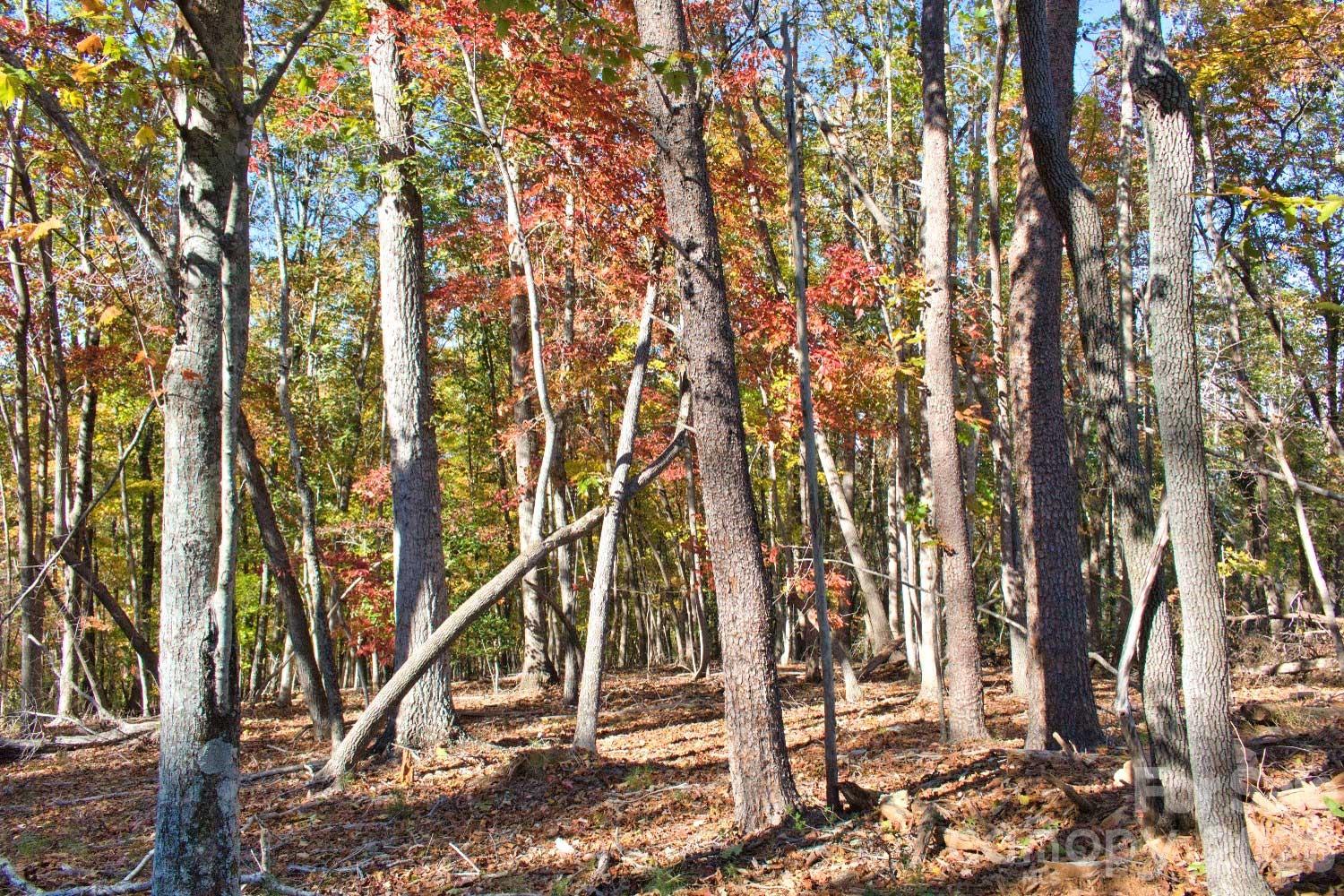 0 Wilderness Ridge Rutherfordton NC 28139