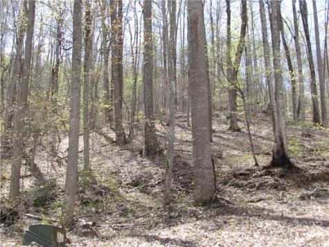 Multiple Lots Red Wolf Run Mars Hill NC 28754