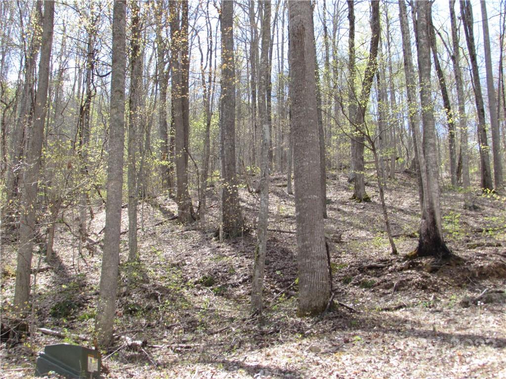 Multiple Lots Red Wolf Run Mars Hill NC 28754