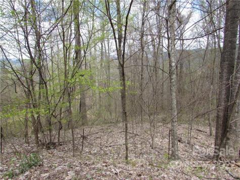 Multiple Lots Red Wolf Run Mars Hill NC 28754