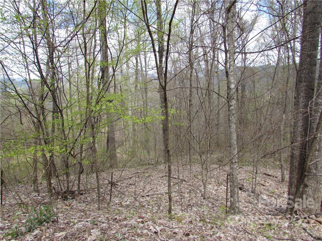 Multiple Lots Red Wolf Run Mars Hill NC 28754