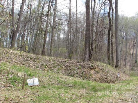 Multiple Lots Red Wolf Run Mars Hill NC 28754