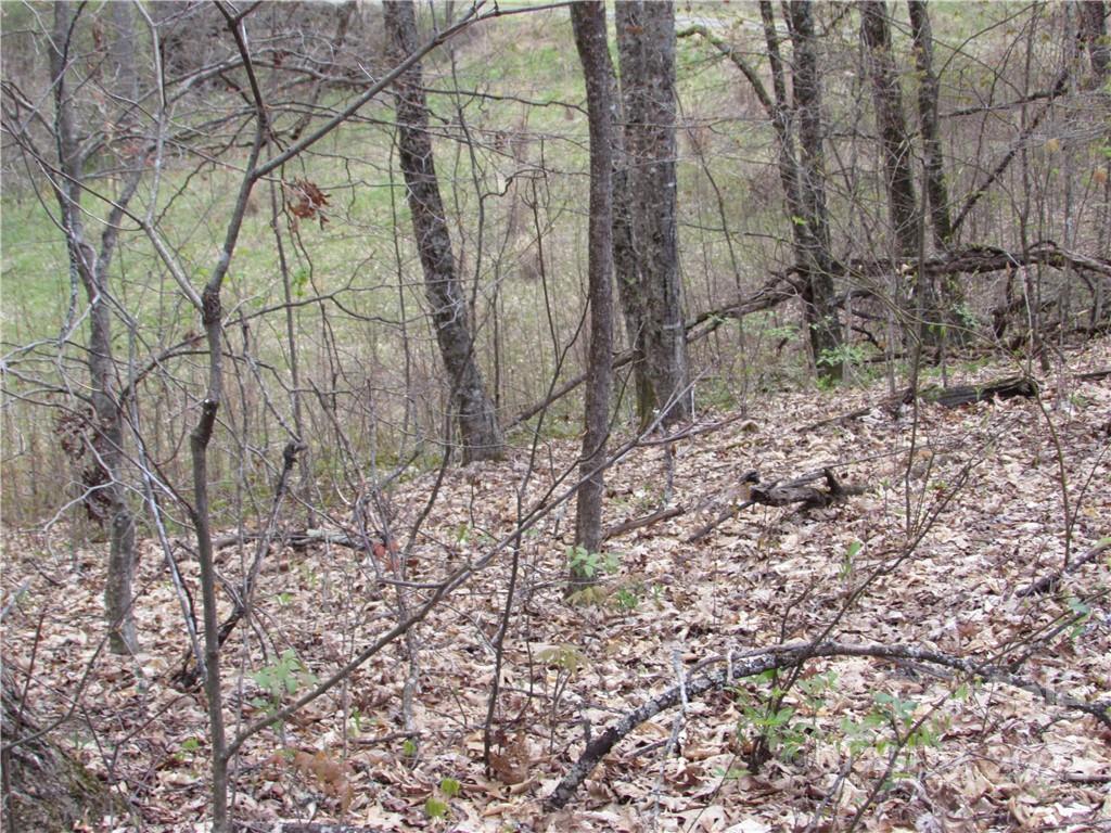 Multiple Lots Red Wolf Run Mars Hill NC 28754