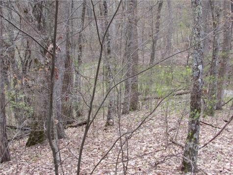 Multiple Lots Red Wolf Run Mars Hill NC 28754