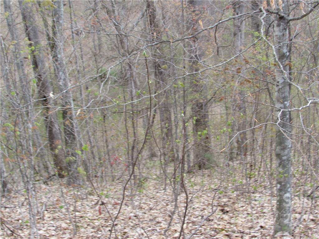 Multiple Lots Red Wolf Run Mars Hill NC 28754