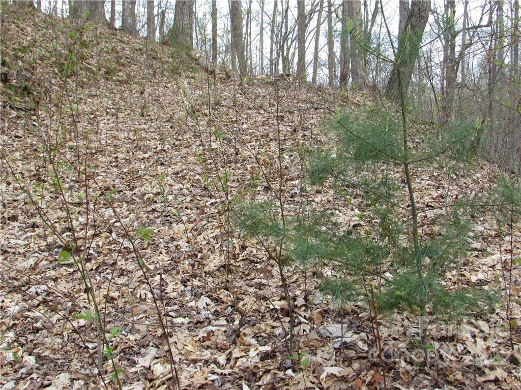 Multiple Lots Red Wolf Run Mars Hill NC 28754