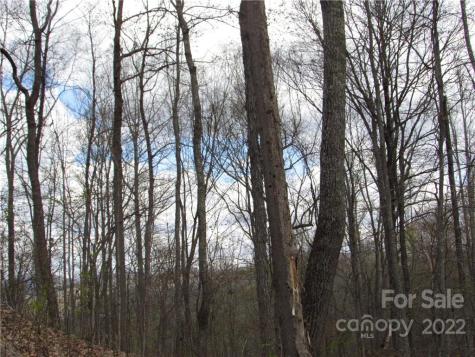 Multiple Lots Red Wolf Run Mars Hill NC 28754
