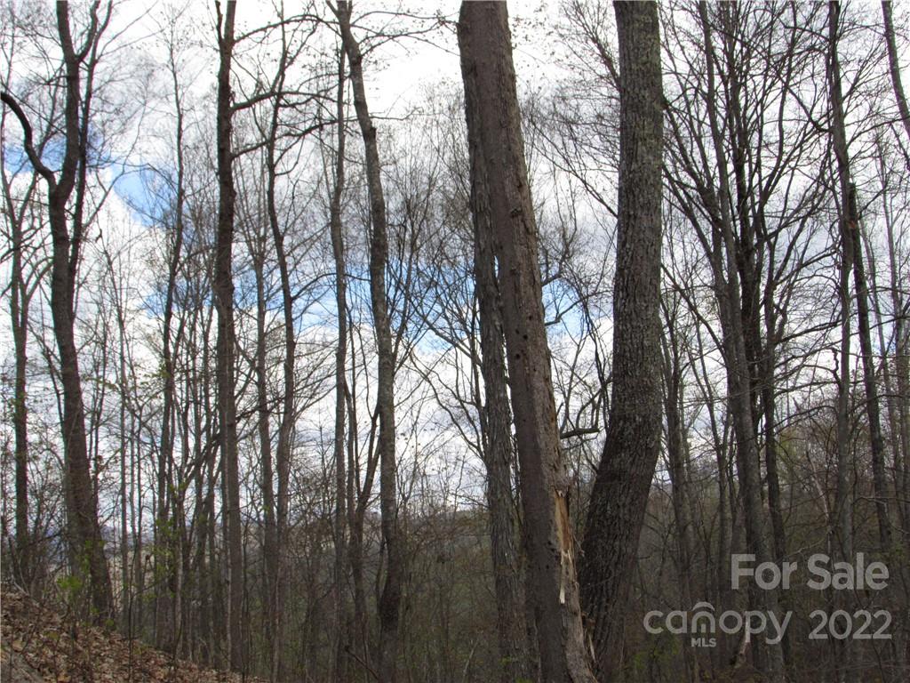 Multiple Lots Red Wolf Run Mars Hill NC 28754