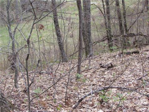 Multiple Lots Red Wolf Run Mars Hill NC 28754