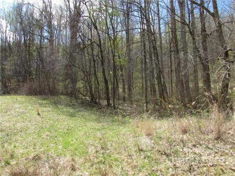 Multiple Lots Red Wolf Run Mars Hill NC 28754
