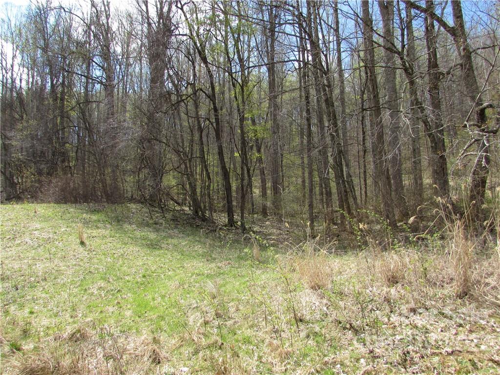Multiple Lots Red Wolf Run Mars Hill NC 28754