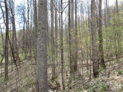 Multiple Lots Red Wolf Run Mars Hill NC 28754
