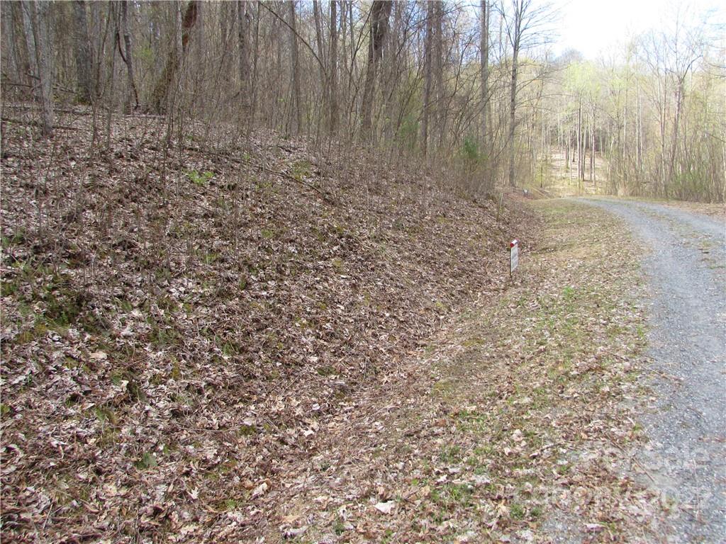Multiple Lots Red Wolf Run Mars Hill NC 28754